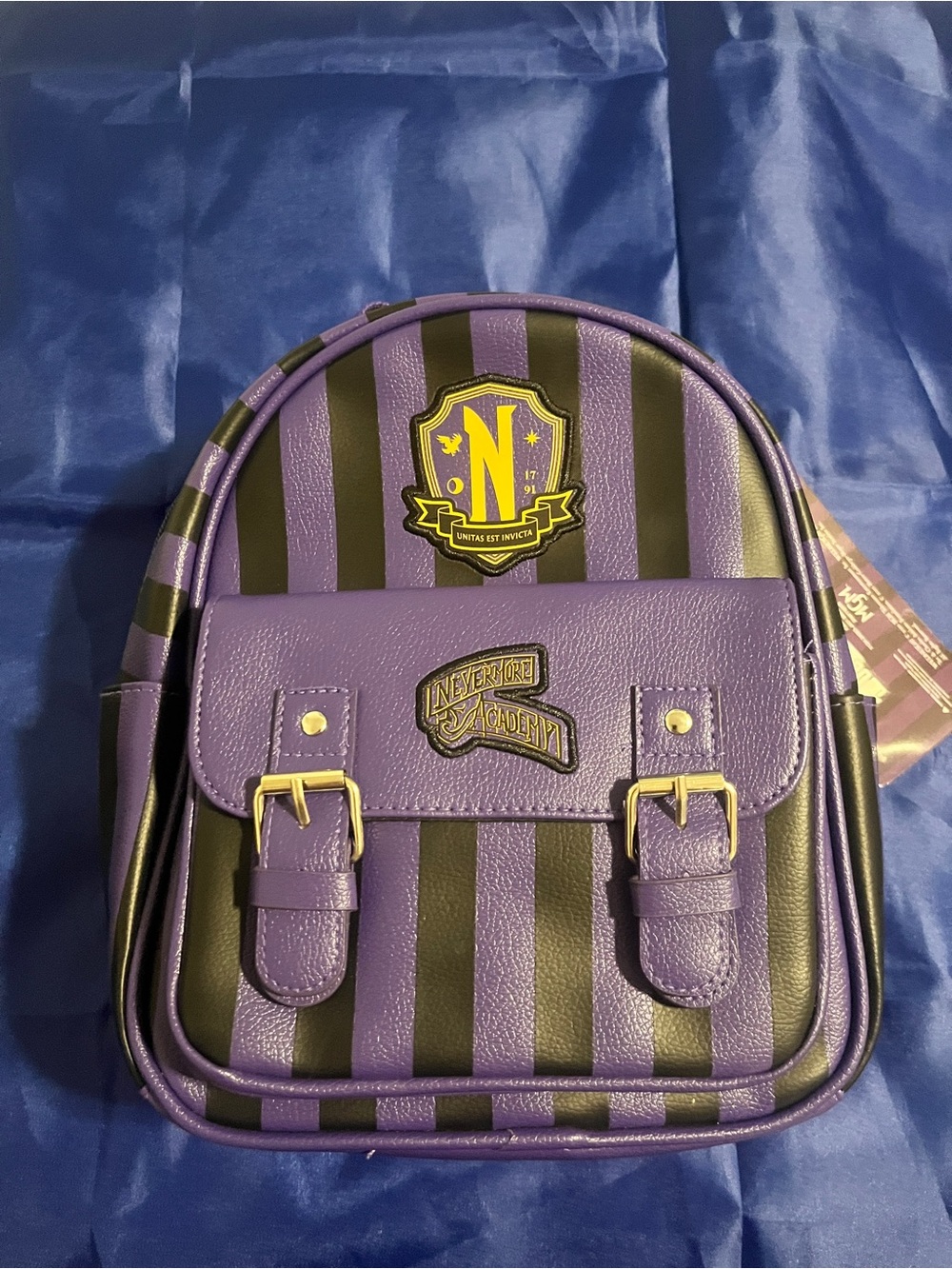 Striped Purple & Black Mini Backpack with Crest Accent